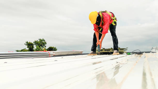 Best Roof Coating and Sealing  in Napervle, IL