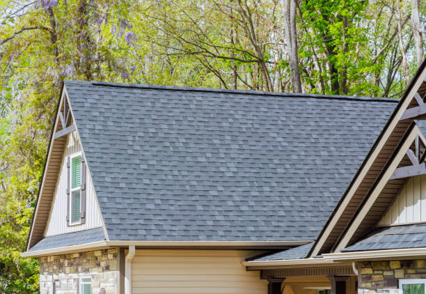 Best Roof Maintenance and Cleaning  in Napervle, IL